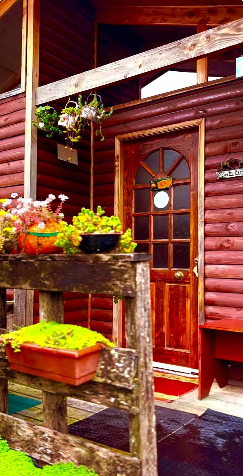 A wooden door with a circular window is featured, set within a rustic brown exterior. Potted plants, including vibrant flowers and greenery, adorn a wooden stand nearby, creating a welcoming entrance atmosphere.