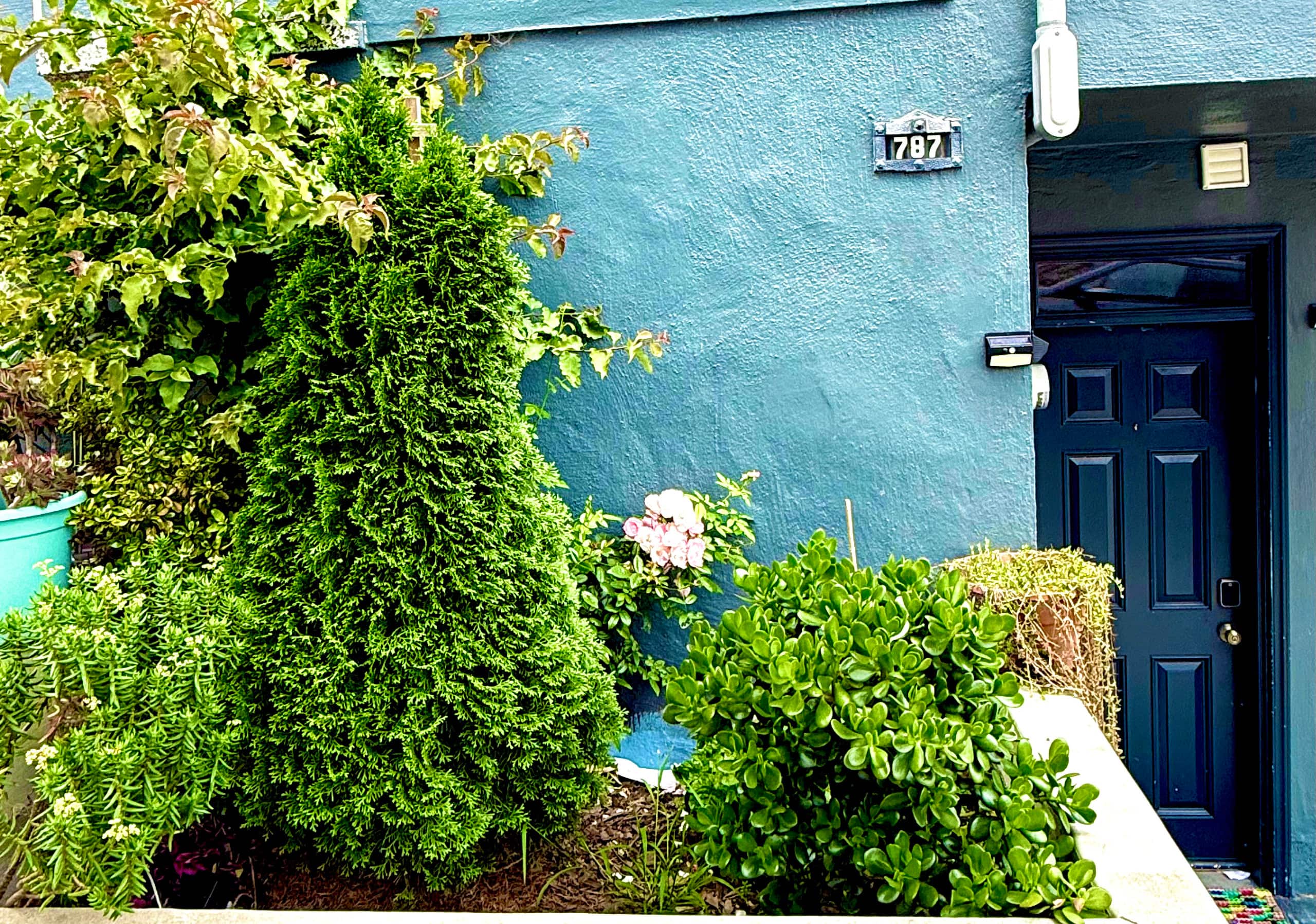 Home in San Francisco · ★4.84 · 2 bedrooms · 3 beds · 2 baths - Image 11