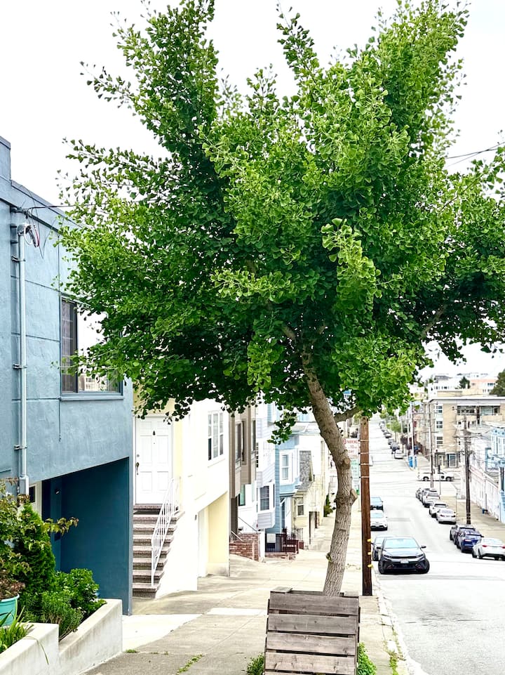 New 2br/2ba Free Garage Parking + W/d Near Ucsf - San Francisco, CA