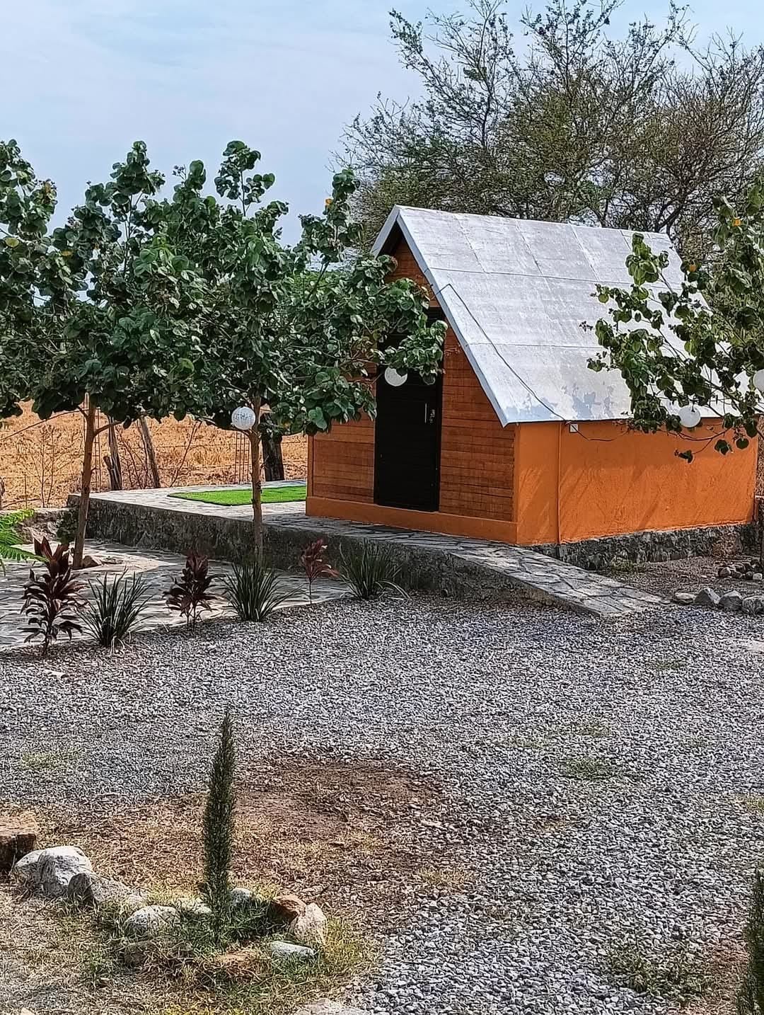 A charming cabin is surrounded by greenery and pebbled pathways. The structure features a sloped silver roof and orange walls, enhancing its rustic appeal. Nearby, manicured plants and small bushes complement the natural setting, creating a serene environment for relaxation.