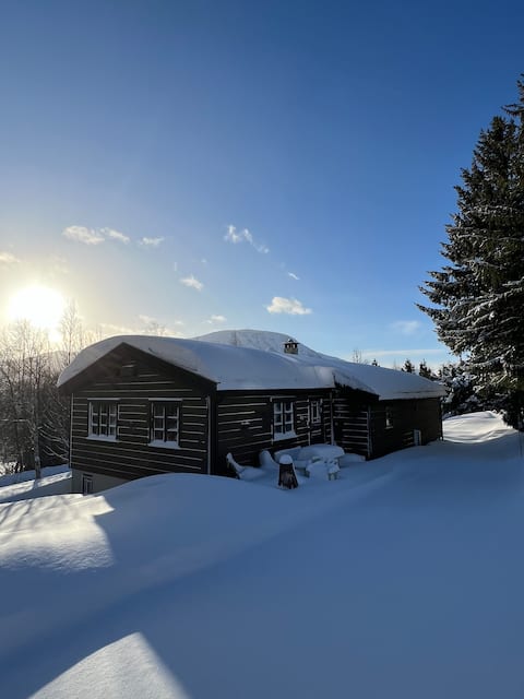 Modern log cabin with charm