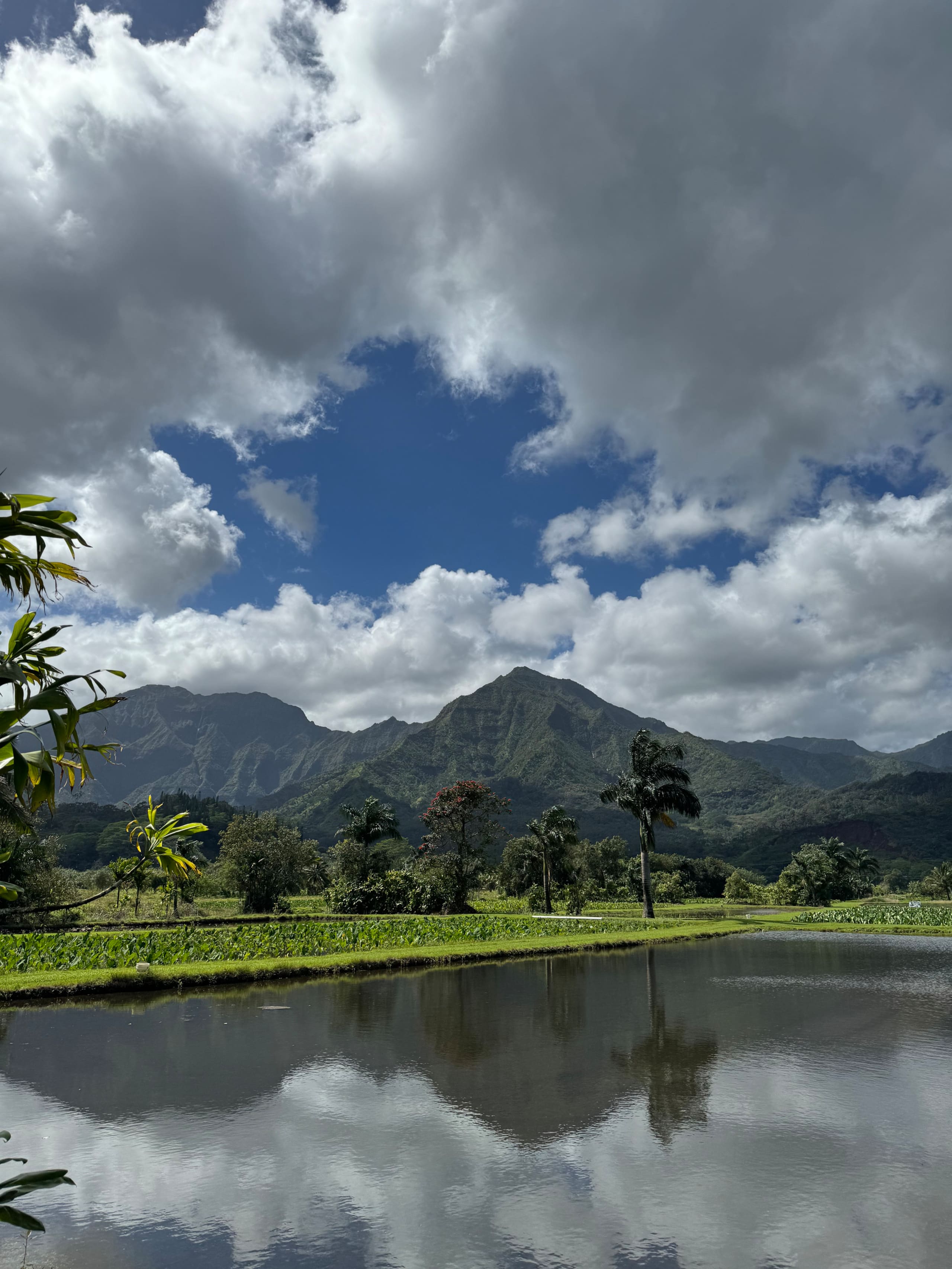 Townhouse in Princeville · ★4.9 · 3 bedrooms · 6 beds · 2 baths - Photo 69