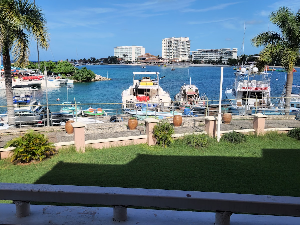 A serene view of the harbor is presented, showcasing several boats docked in the calm blue waters. Lush greenery borders the area, while palm trees gently sway in the breeze. In the background, buildings line the shoreline, contributing to the coastal scenery.