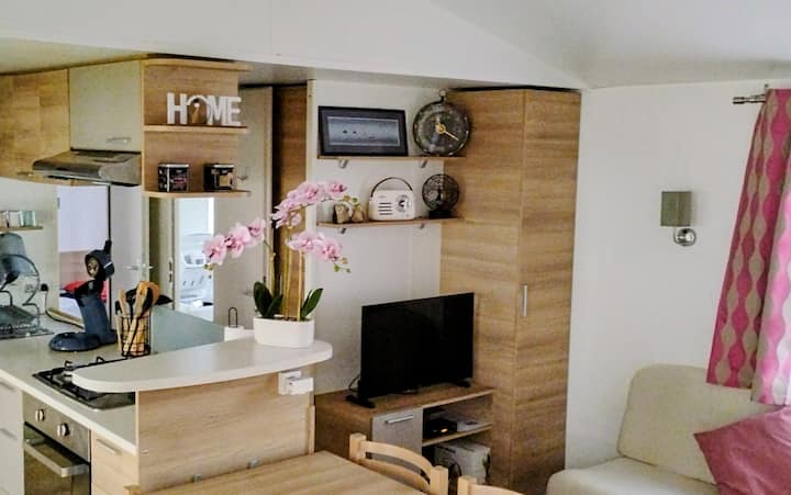Mobilhome Au Bord Du Lac Parentis /Biscarrosse - 朗德