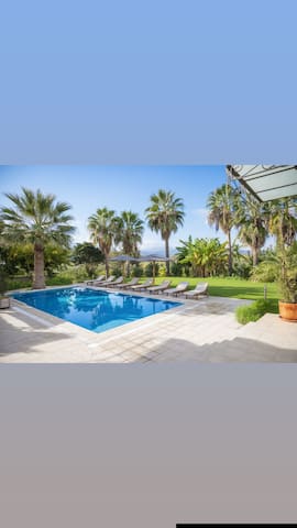 The Orange Tree Garden gallery image 3