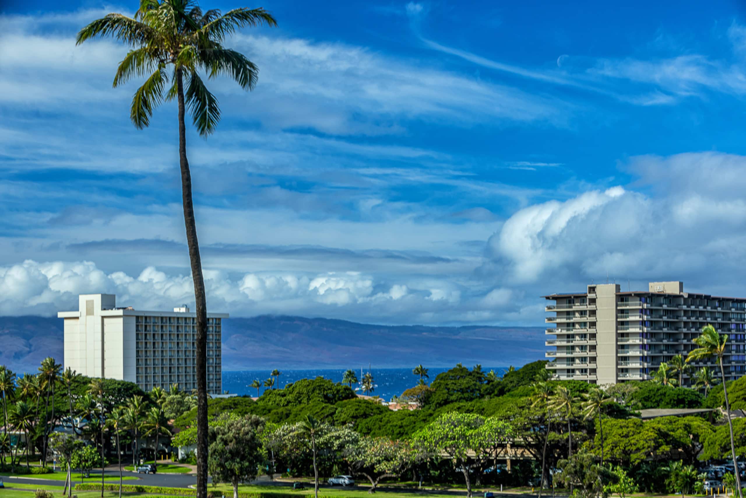 Condo in Lahaina · ★4.6 · 2 bedrooms · 3 beds · 2 baths - Image 22