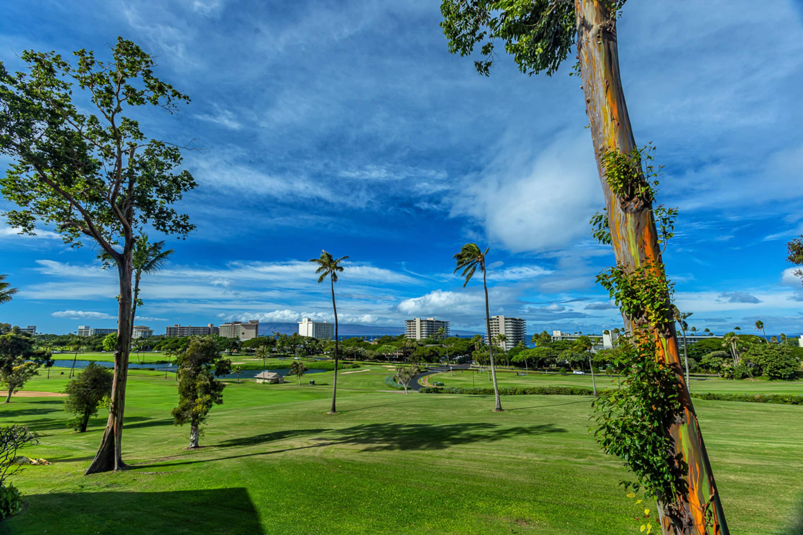 Condo in Lahaina · ★4.6 · 2 bedrooms · 3 beds · 2 baths - Image 6