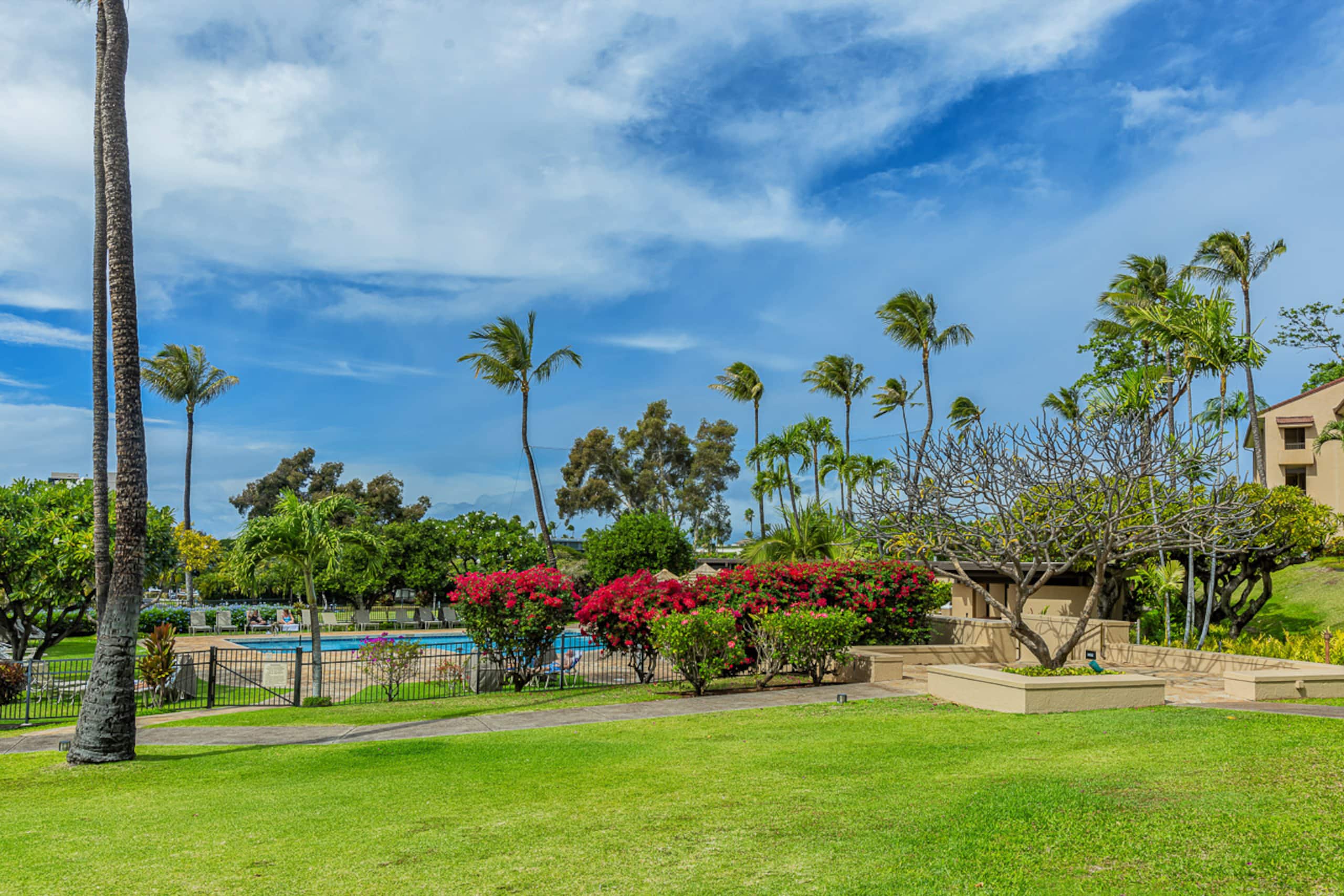 Condo in Lahaina · ★4.6 · 2 bedrooms · 3 beds · 2 baths - Image 42