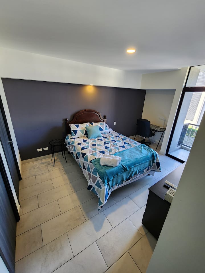 Cafes That Allow Dogs Near Me Cafes That Allow Dogs Near Me