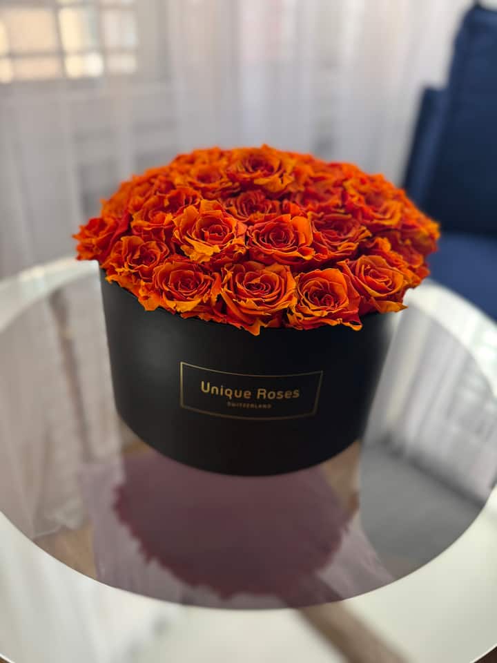 Дневен простор