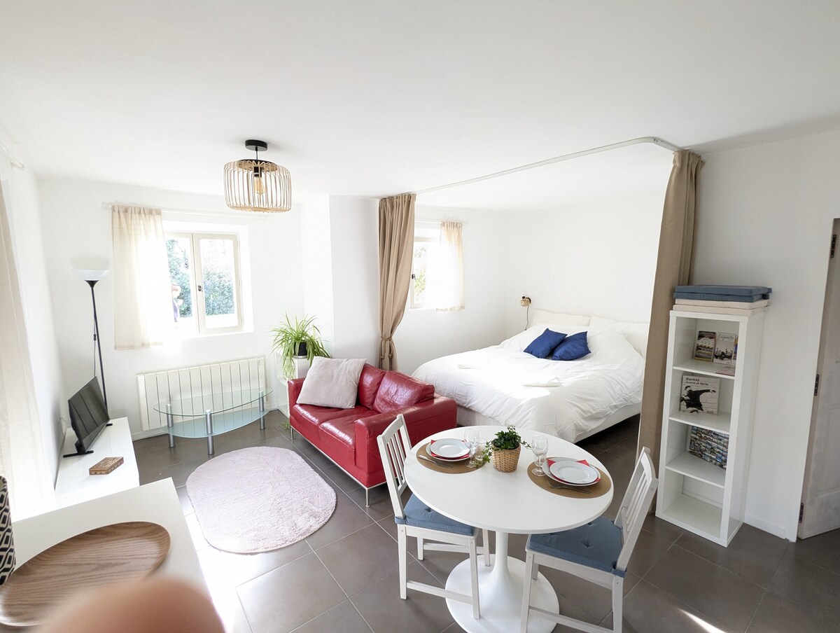 Top Airbnb: Large studio in villa-calm-garden-pool-air conditioning in Aix En Provence