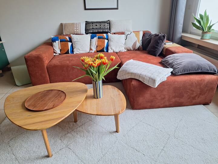 Spacious & Light 2 Bedroom Apartment With Garden - Schoten