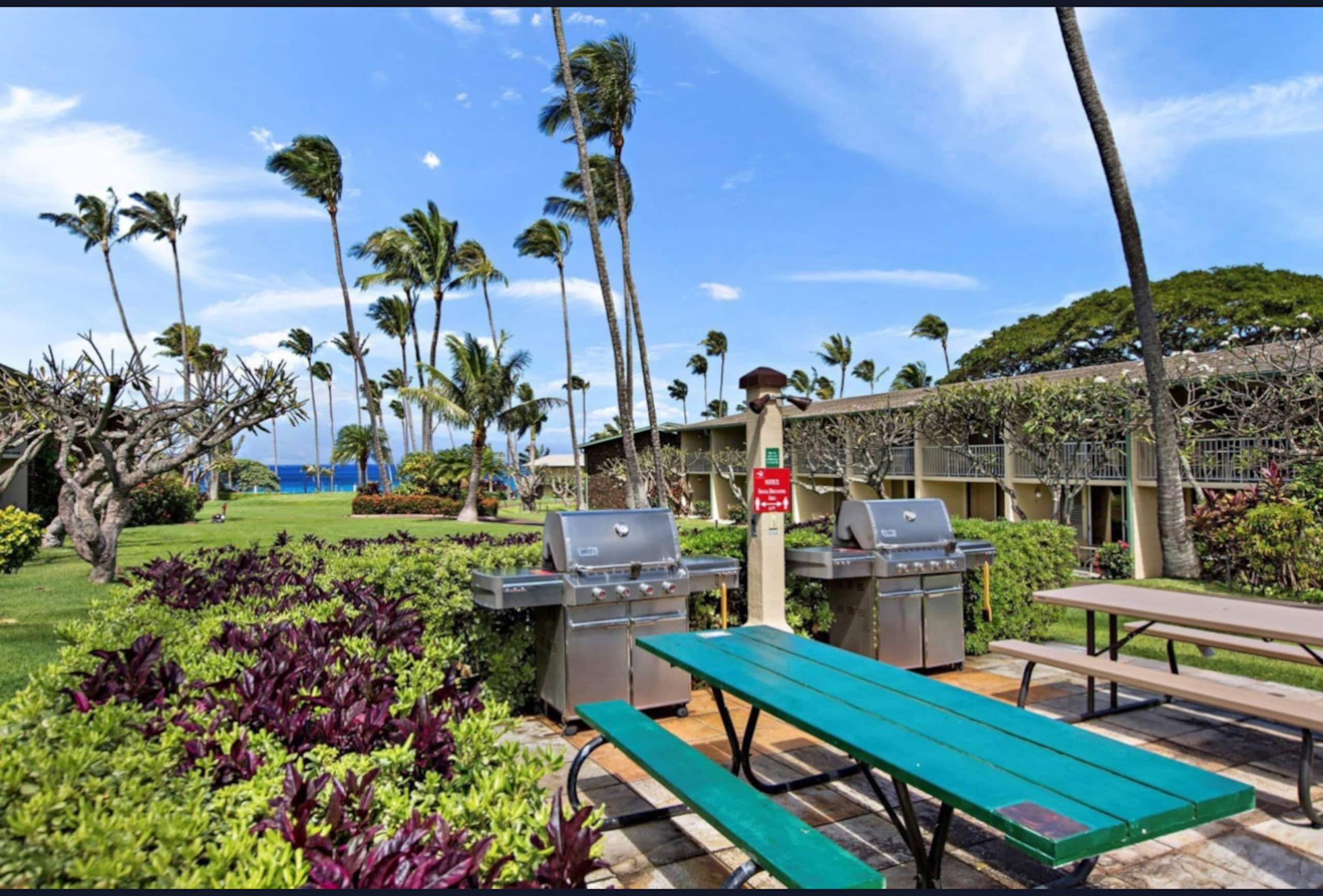 Steps to sand - Napili Bay ground floor AC + pools - Image 38