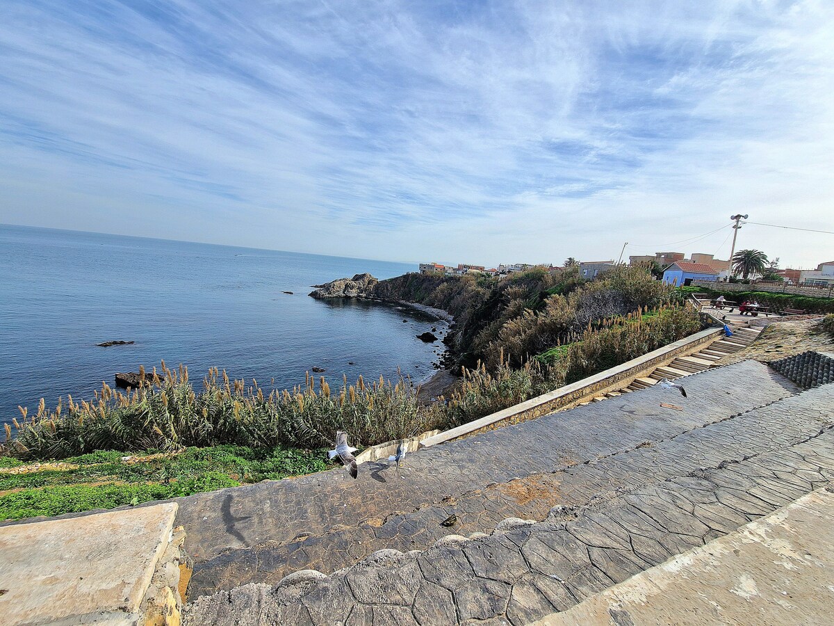 A coastal path runs alongside calm blue waters, leading to rocky shores. Green shrubs and grasses line the area, creating a natural boundary. The horizon features a clear sky with wispy clouds, enhancing the serene environment exhibited by this waterfront setting.