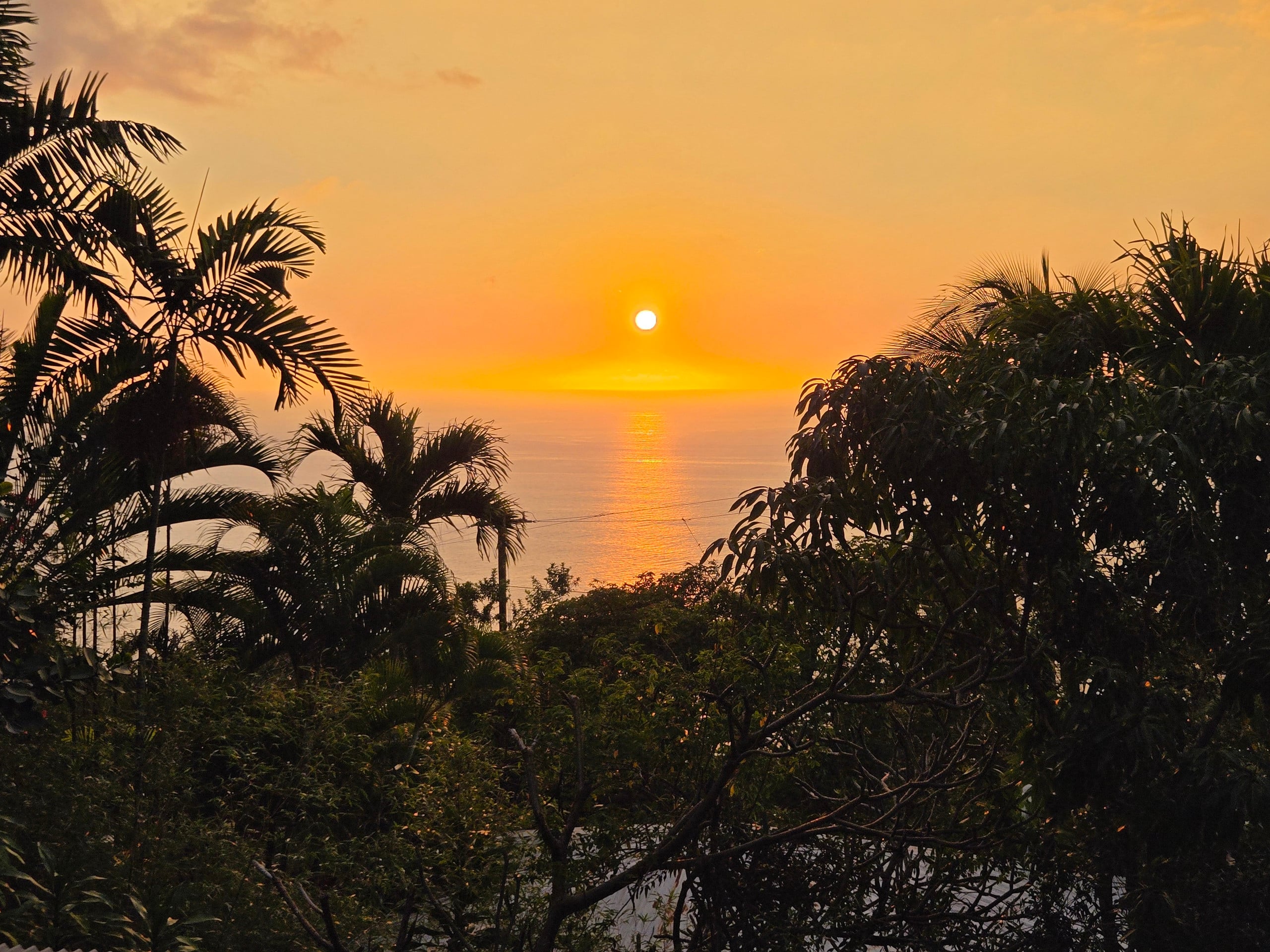 Secluded South Kona - Spectacular Ocean Views - Photo 51