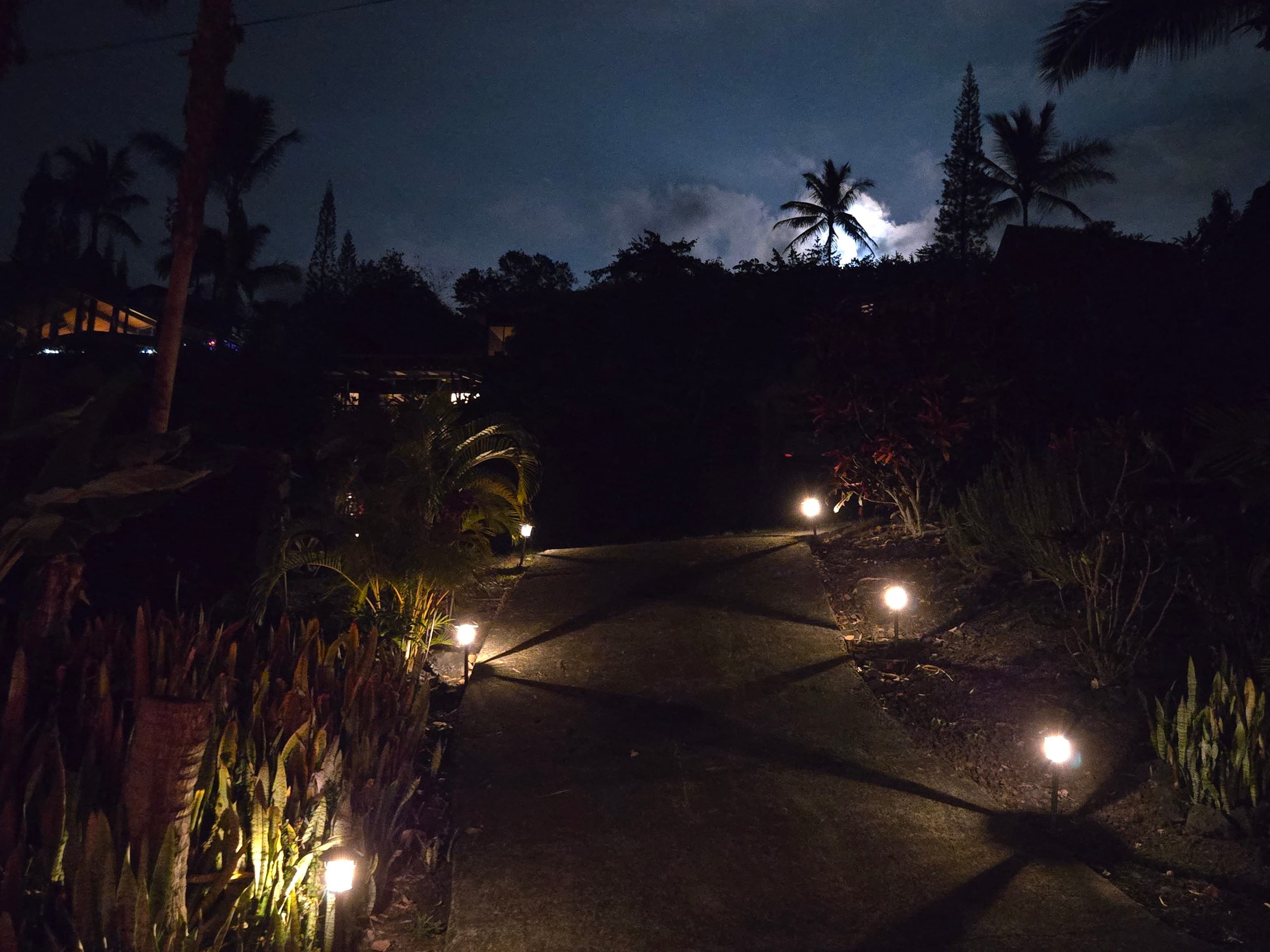 Secluded South Kona - Spectacular Ocean Views - Photo 44