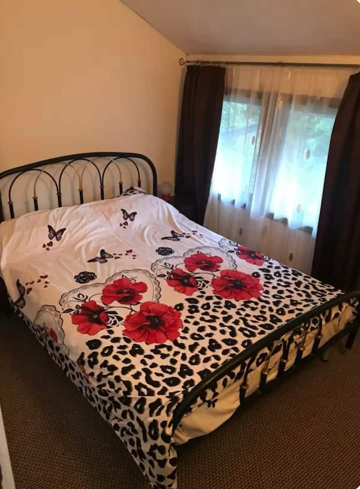Apartamentul Cu Peisaj Mirific - Bușteni