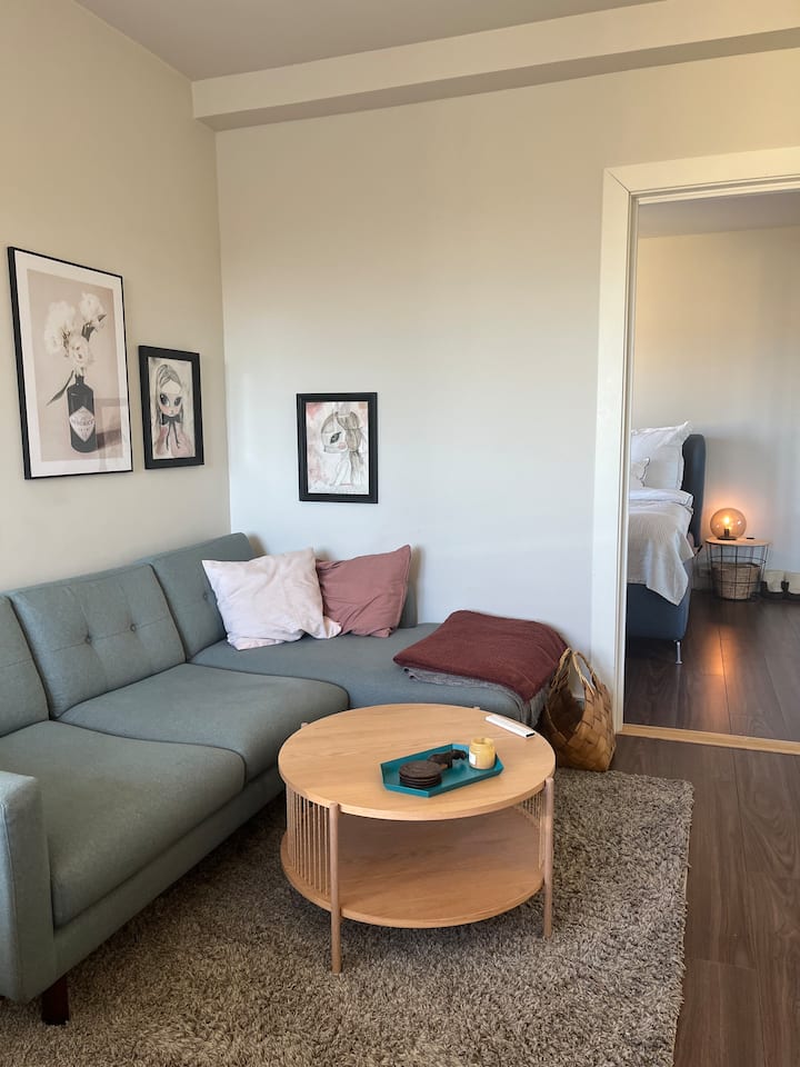 Cozy And Modern Apartment In Oslo - Oslo