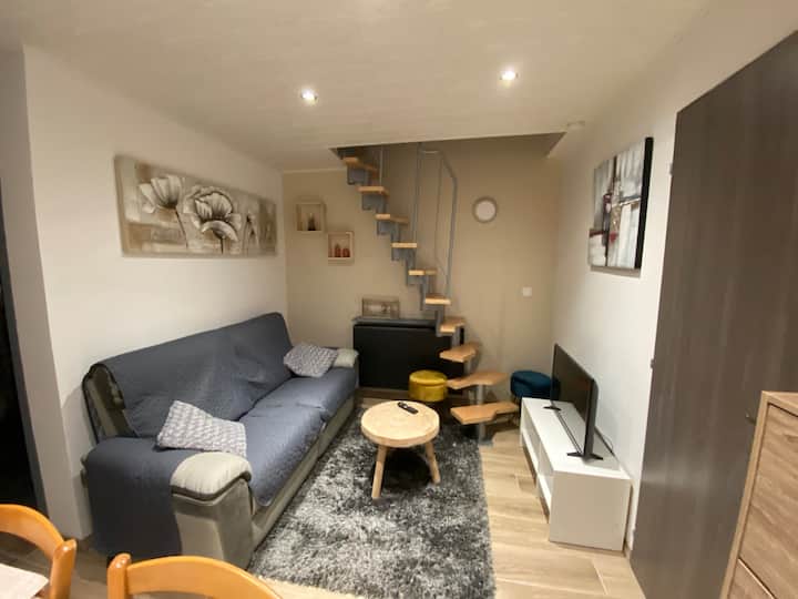 Charmante Annexe Avec Piscine - Vosges