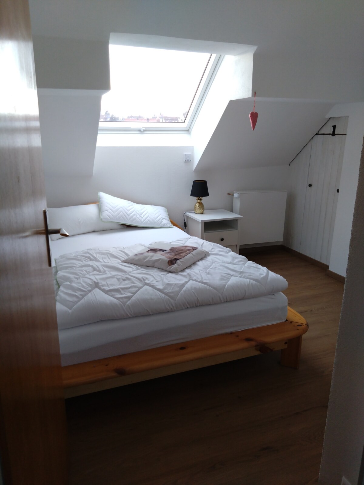 A cozy bedroom features a spacious bed with a decorative pillow. A skylight allows natural light to fill the room, while a small nightstand with a lamp is positioned beside the bed. Minimalist closet space is available, enhancing the room's clean look.