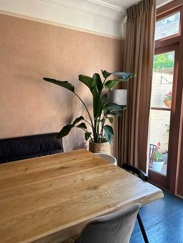 Den Haag gallery image 5