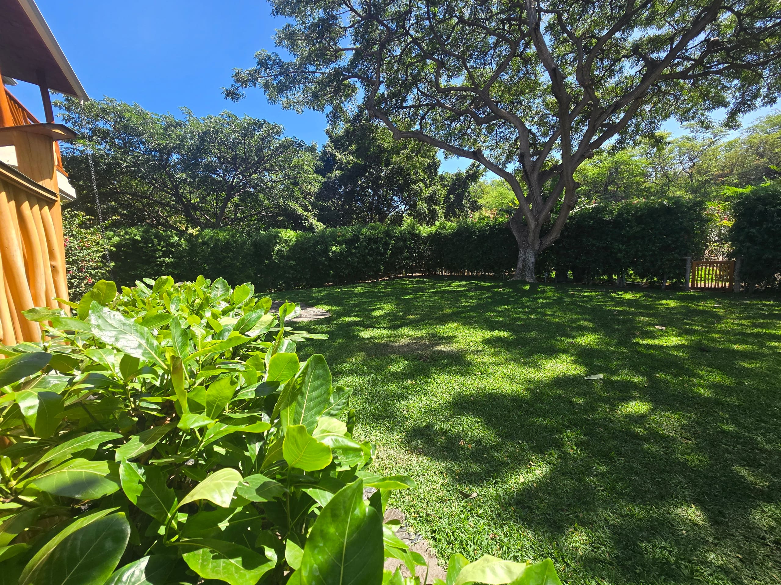 Home in Waimea · ★4.59 · 5 bedrooms · 12 beds · 3 private baths - Image 31