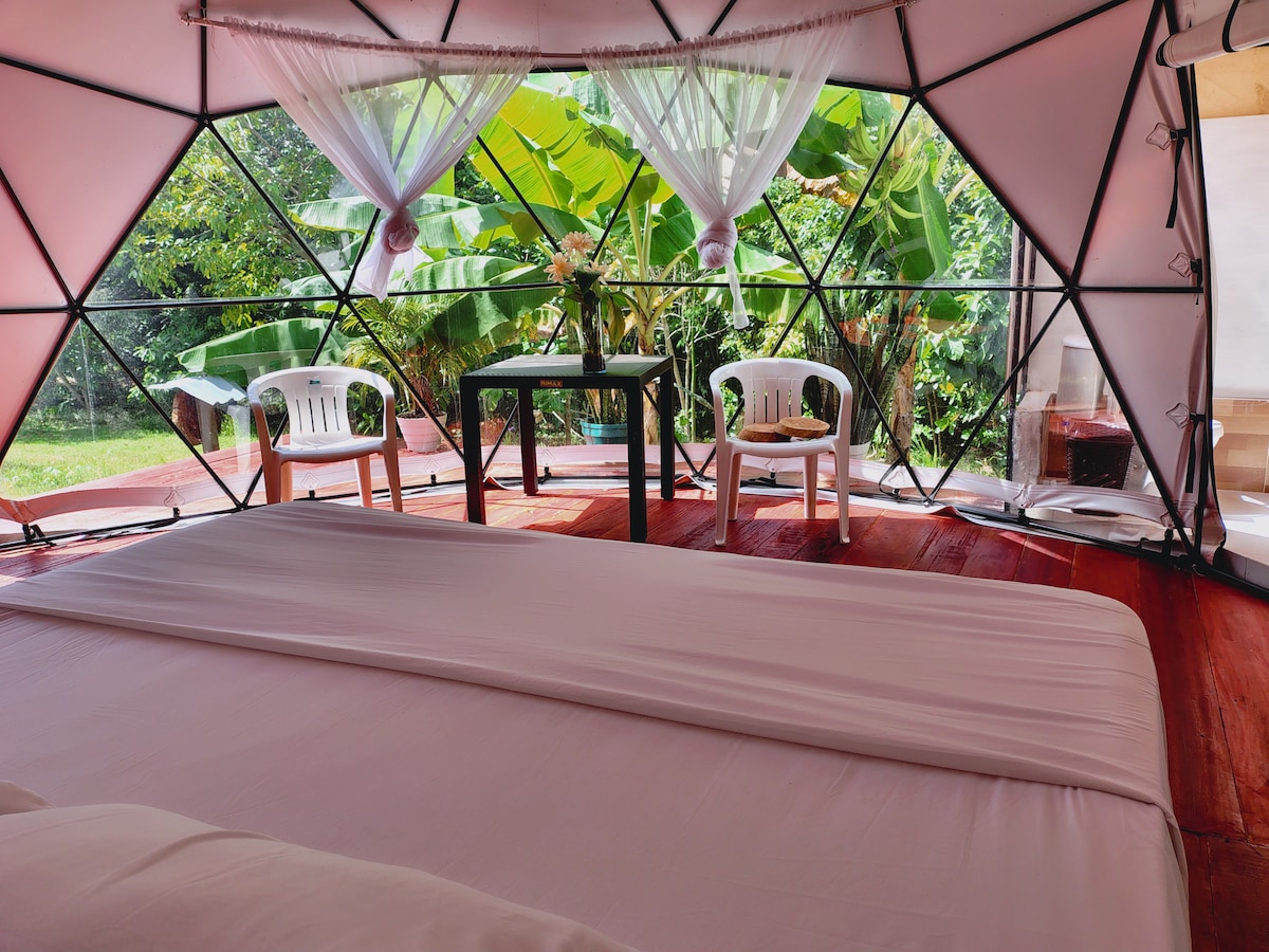 A geodesic dome interior features a spacious bed covered with a light-colored blanket. Two white chairs are positioned nearby, with a small table in the center. Large windows offer a view of lush greenery outside, creating a connection with nature.
