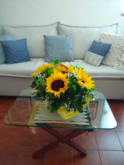 Popular Airbnb listing: Cozy furnished apartment in Colonia Fuentes Brotantes