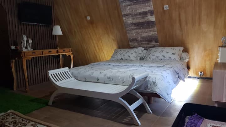 Habitación 1
