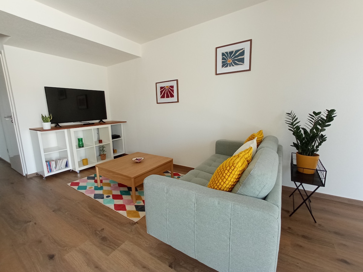 Top Airbnb: Superb flat calm, large balcony, private parking a Bischheim