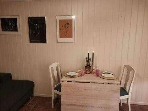 Popular Airbnb listing: Cozy apartment near the city center in Hamar