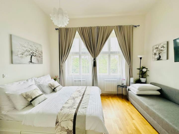 Charming Prague 1 Studio Near The National Museum - Praga