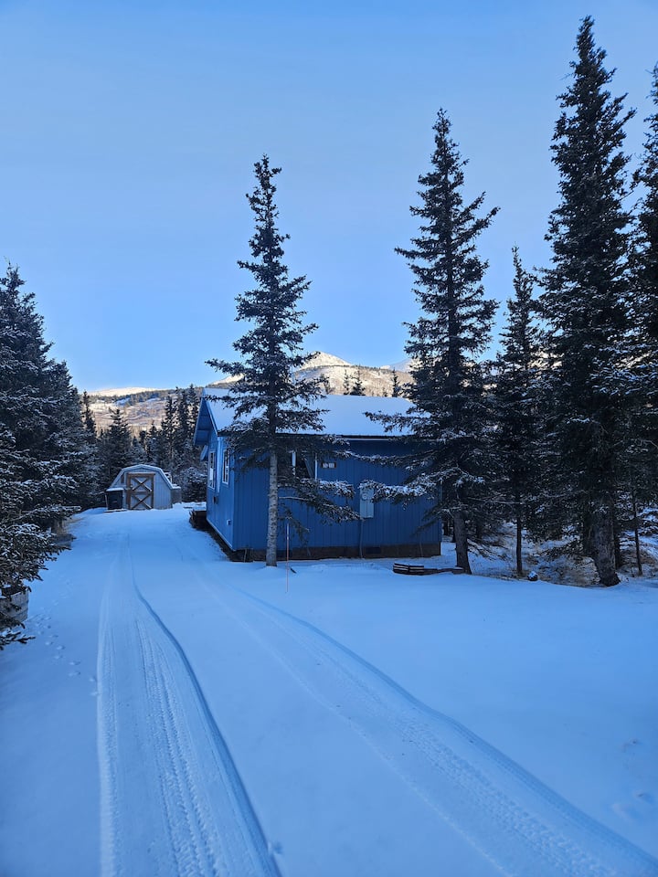 Peaceful Cabin In The Woods - Anchorage, AK