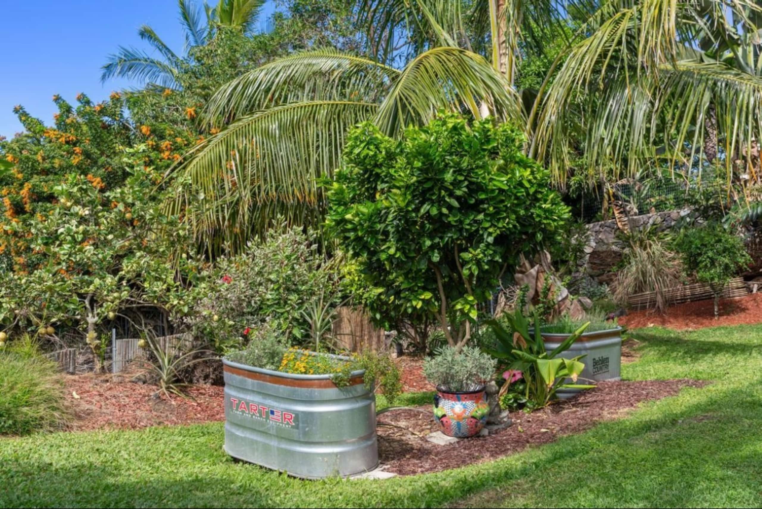*Kona Garden Studio Ohana* - Image 14