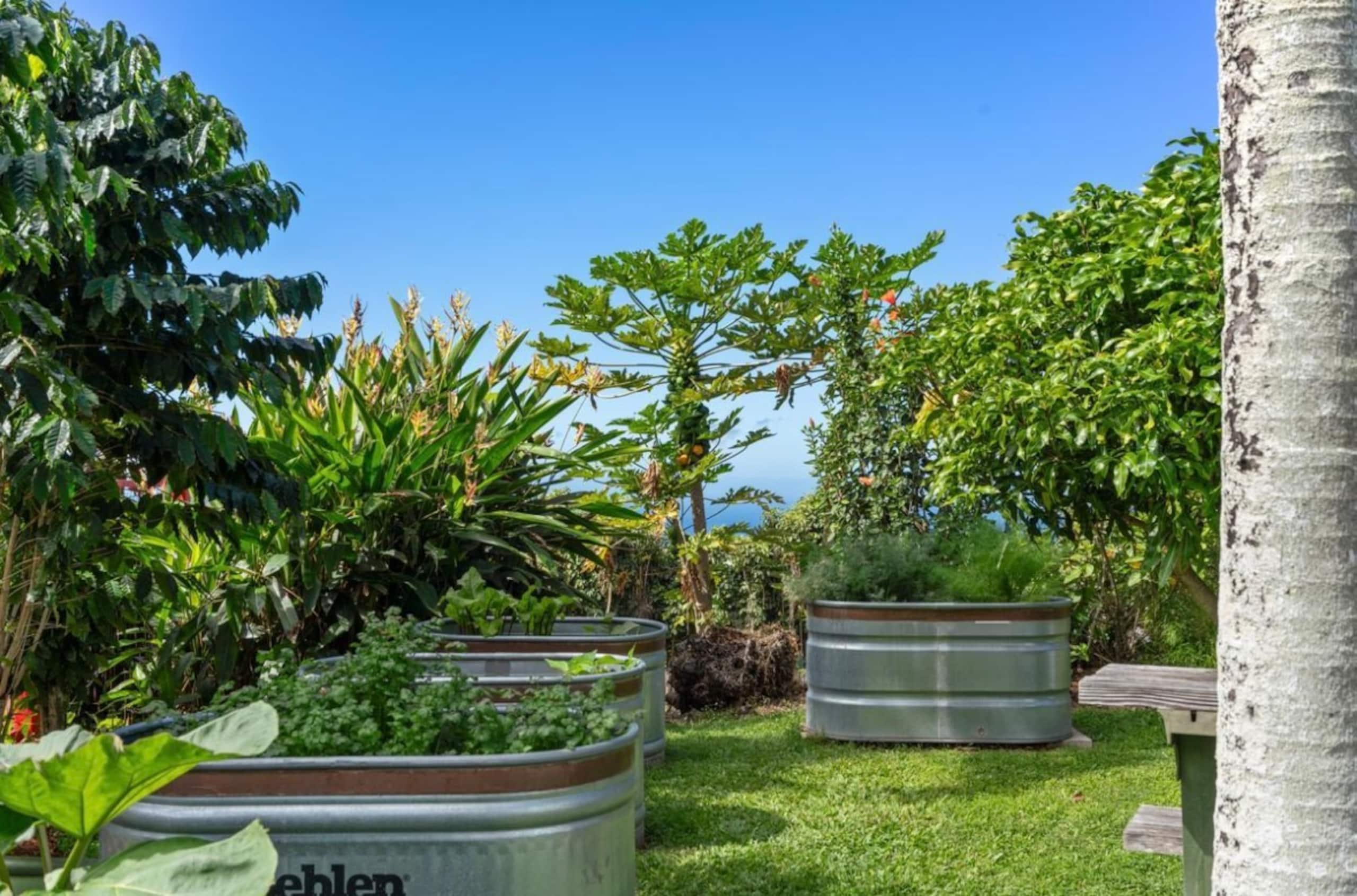 *Kona Garden Studio Ohana* - Image 13