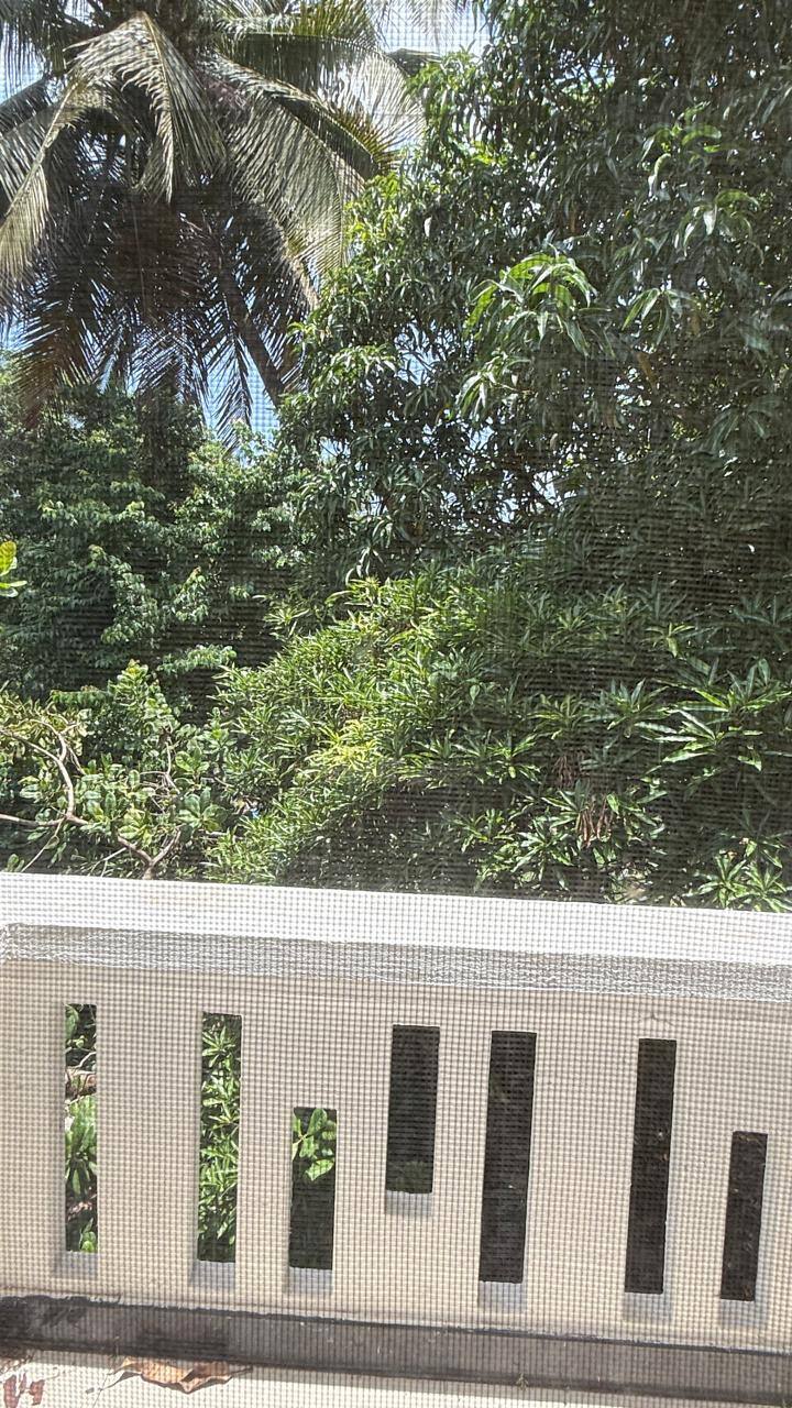 Balcony image 1