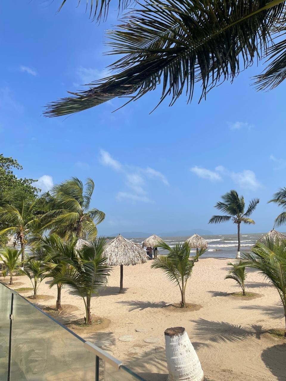A sandy beach is framed by swaying palm trees, with thatched umbrellas providing shade in the foreground. The calm waves of the ocean meet the shore under a clear blue sky, creating a serene coastal atmosphere.