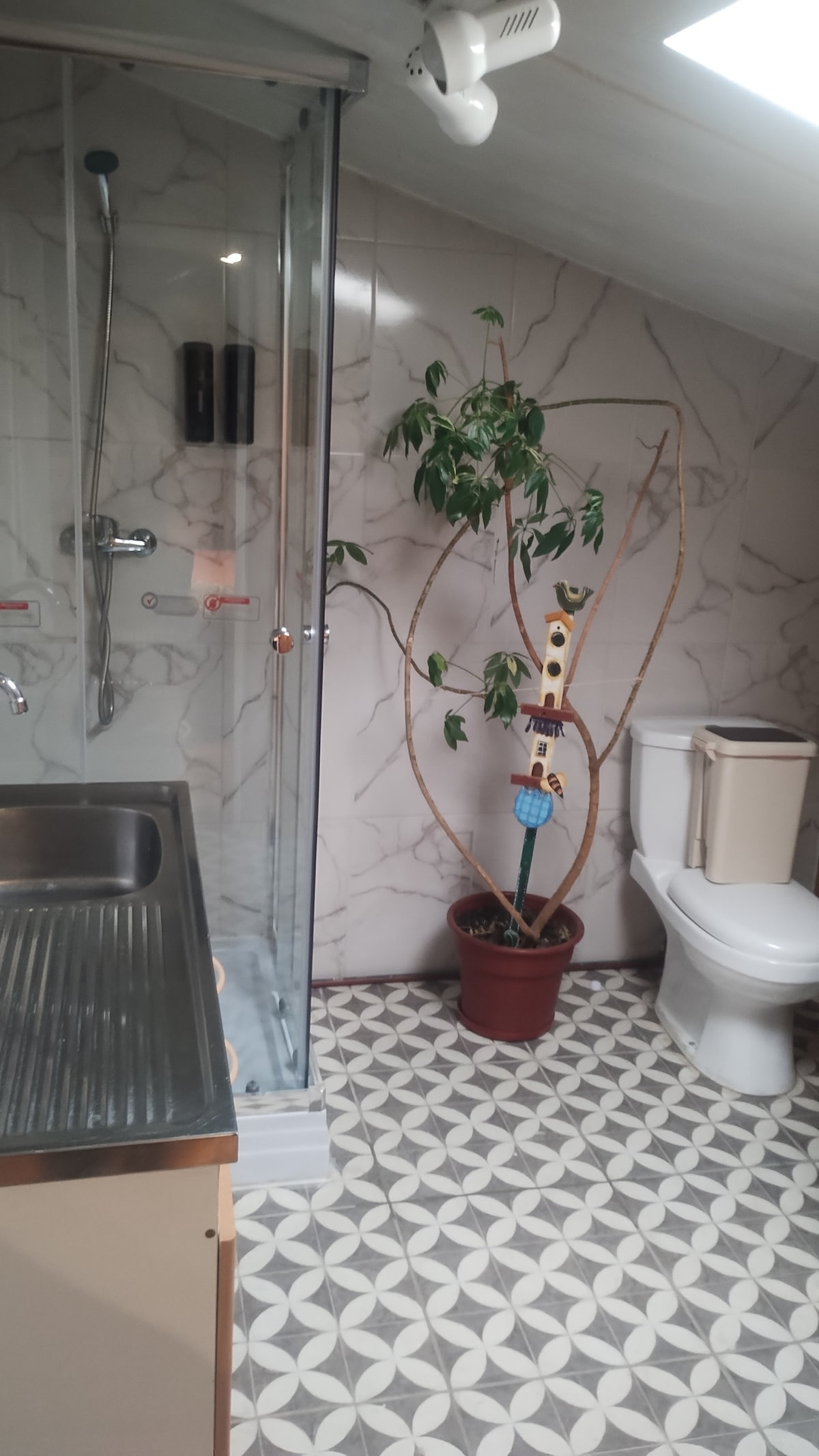 The bathroom features a glass shower enclosure with modern fixtures. A potted plant adds a touch of nature beside the shower. A small sink unit with a metallic countertop is visible, along with a toilet and patterned tile flooring that enhances the overall space.