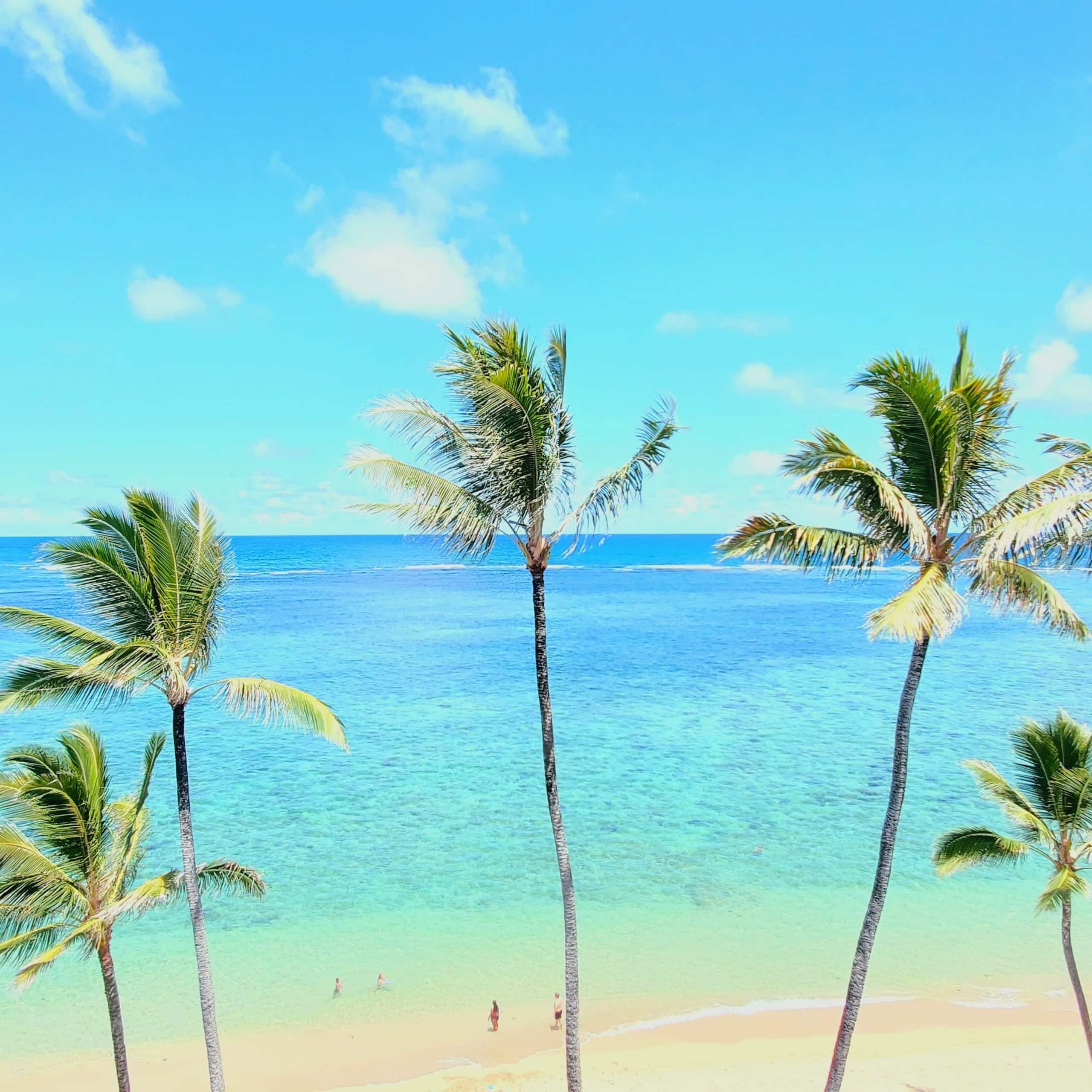 Condo in Hauula · ★4.88 · 3 bedrooms · 8 beds · 2 private baths - Image 41