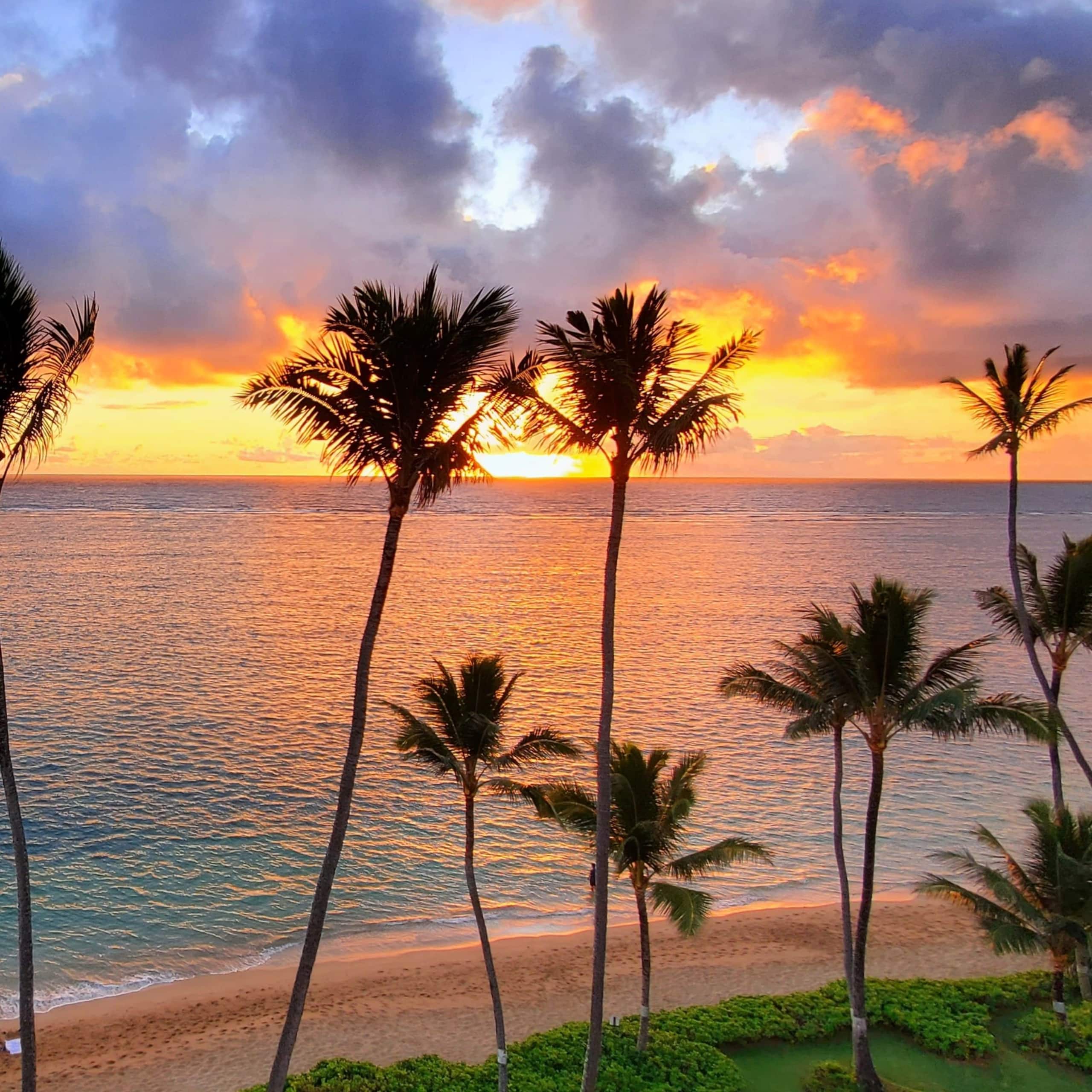 Condo in Hauula · ★4.88 · 3 bedrooms · 8 beds · 2 private baths - Image 42