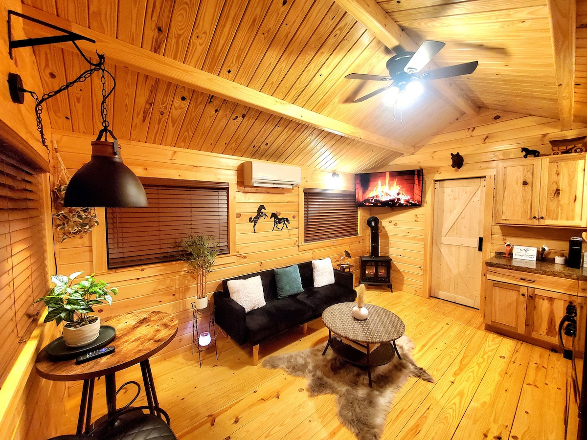 The interior of the cozy cabin features warm wooden paneling and a high ceiling. A black sofa sits atop a round, patterned rug near a small side table. A television mounted on the wall displays a virtual fireplace, and a kitchenette is visible in the corner.