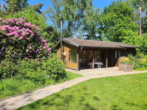 Voigt vacation home