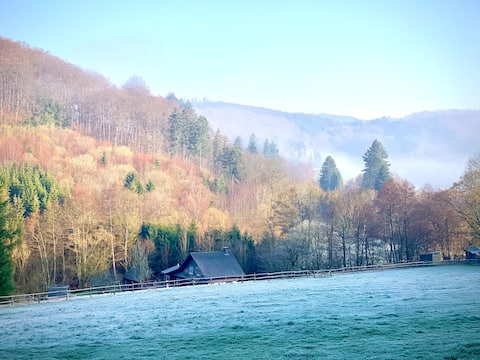 Secluded location, sauna overlooking the stream, nature