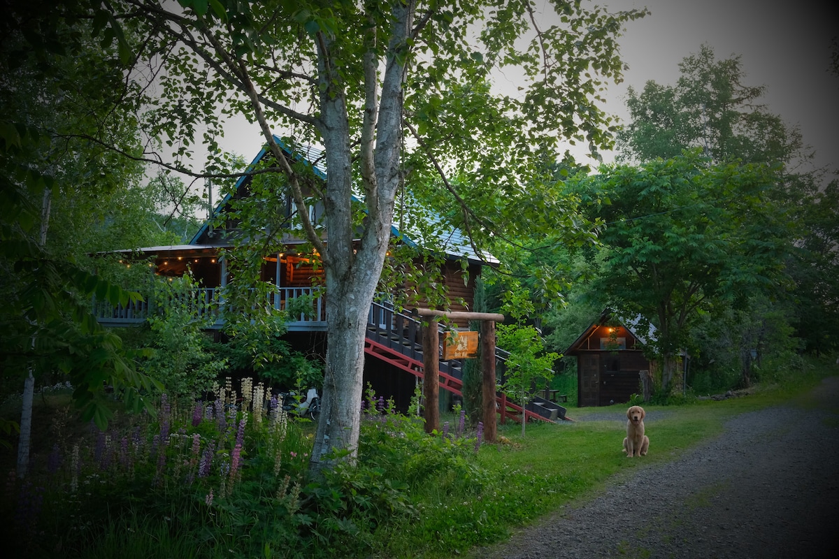 A rustic cottage is surrounded by lush greenery, featuring a sloped roof and a welcoming porch. Adjacent structures, including a small shed, are visible among the trees. A path lined with plants leads to the entrance, where a dog sits peacefully on the gravel walkway.