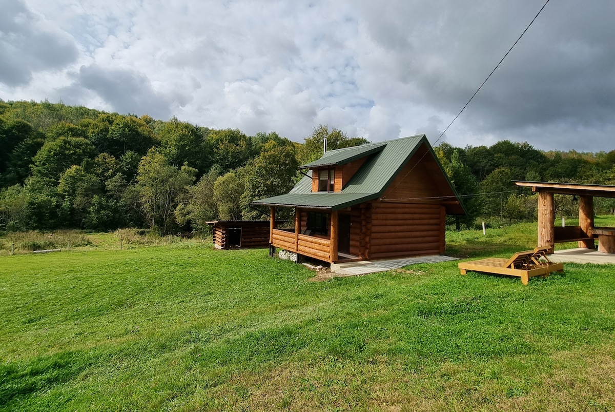 A wooden cabin is positioned on a grassy area, surrounded by trees and rolling hills. The cabin features a green roof and a porch that enhances outdoor access. Nearby, a structure for outdoor gatherings is visible, blending into the serene natural setting.