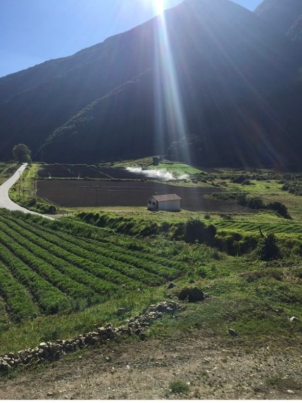 A scenic landscape is displayed, featuring lush green fields bordered by a road and a modest cabin positioned in the distance. Towering mountains rise in the background, with soft sunlight filtering through the sky, casting gentle rays across the serene countryside.