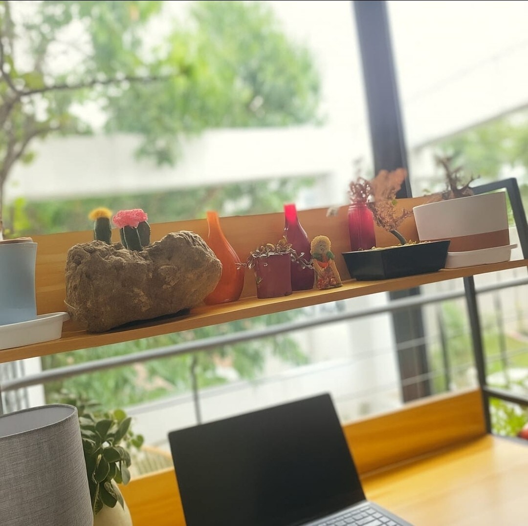 Anuncio de Airbnb popular: Balsas en Cuauhtémoc