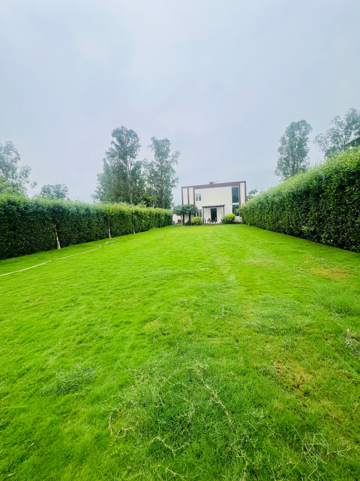 A lush green lawn extends towards a modern house, framed by tall hedges on either side. The well-maintained grass creates a serene environment, enhancing the natural beauty of the surrounding landscape under a cloudy sky.