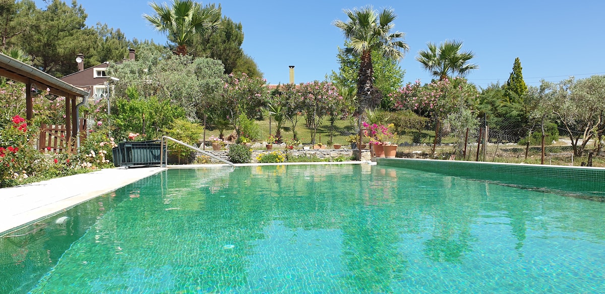 A serene pool is featured at the forefront, with crystal clear water reflecting the blue sky. Surrounding it are lush gardens, showcasing vibrant flowers and palm trees, while the distant hillside is dotted with olive trees, contributing to a tranquil outdoor environment.