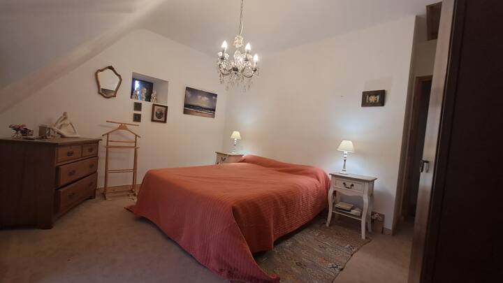 Habitación 1